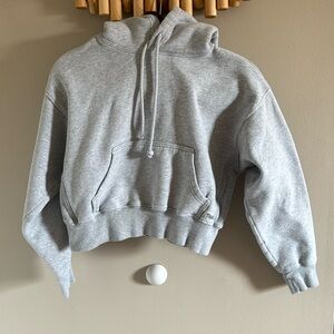 Aritzia TNA Sweatfleece cozy fleece Boyfriend fit Gray 2XS